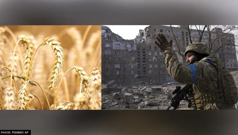 Russia-Ukraine War | Ukraine's Grain Exports Declining; Minister Warns Of 'dramatic Impact' On Global Market